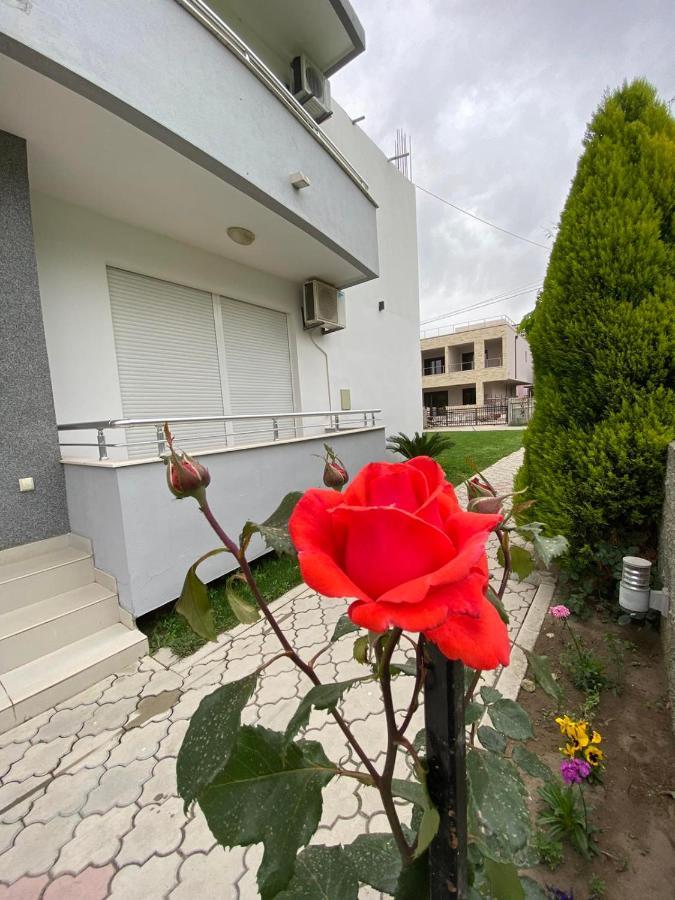 אולסינץ' Md Apartments מראה חיצוני תמונה